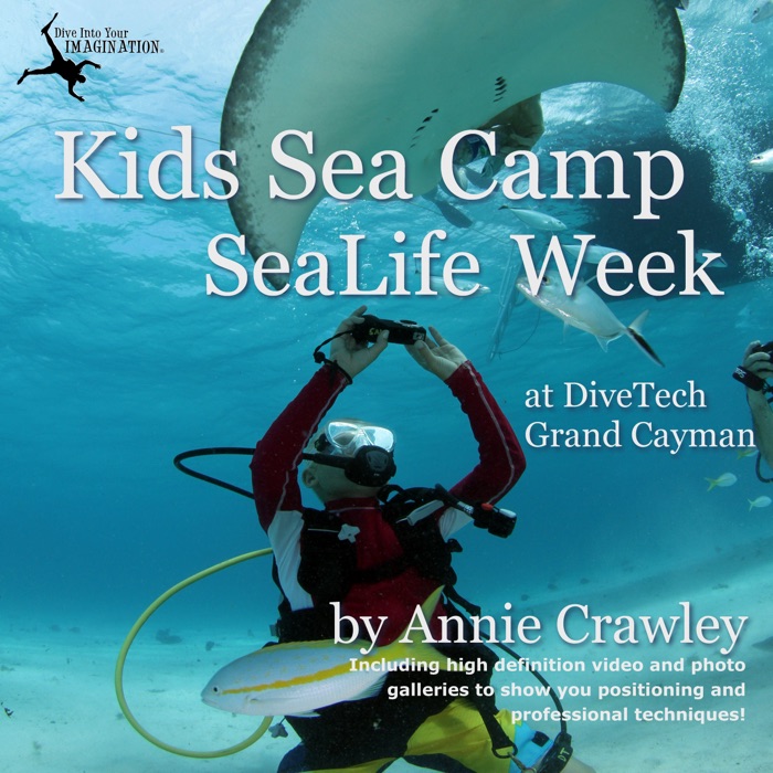 Kids Sea Camp SeaLife Camera Week
