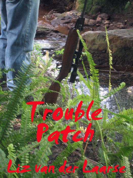 Trouble Patch