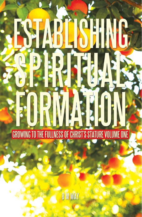 Establishing Spiritual Formation