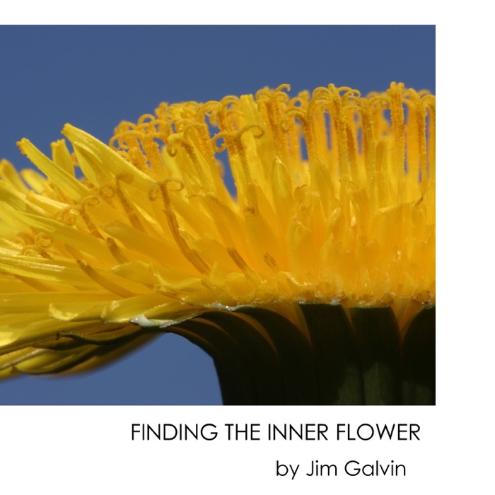 Finding the Inner Flower