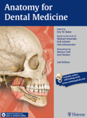 Anatomy for Dental Medicine - Eric W. Baker, Michael Schuenke & Erik Schulte