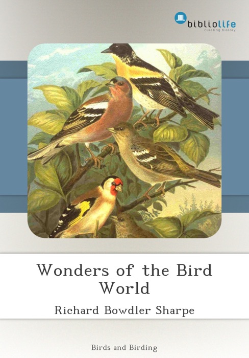 Wonders of the Bird World