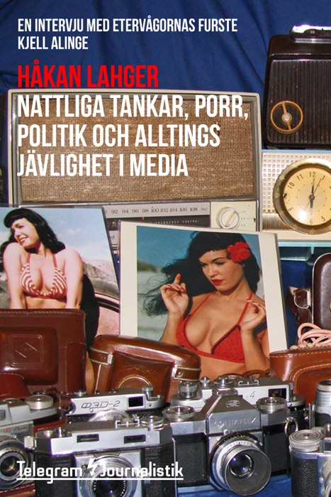 Nattliga tankar, porr, politik och alltings jävlighet i media