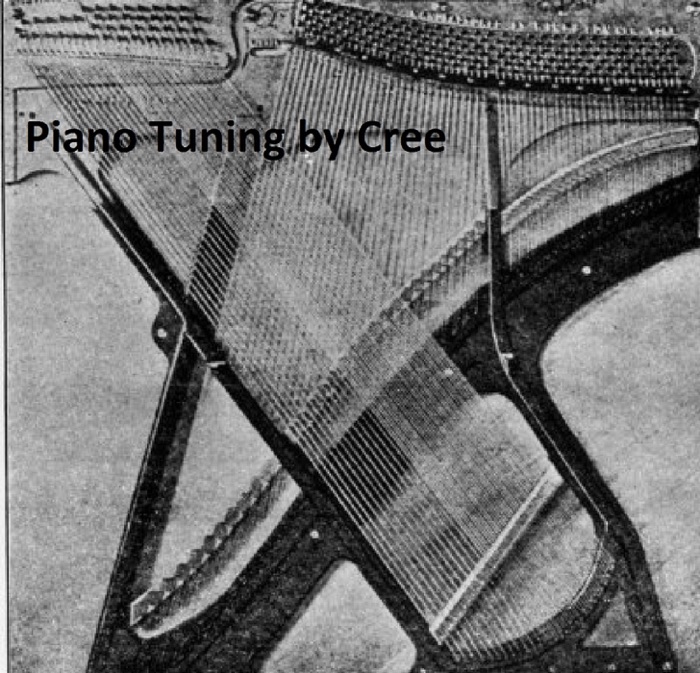 Piano Tuning (Illustrated)