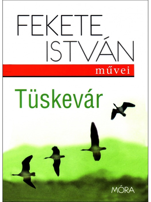 Tüskevár