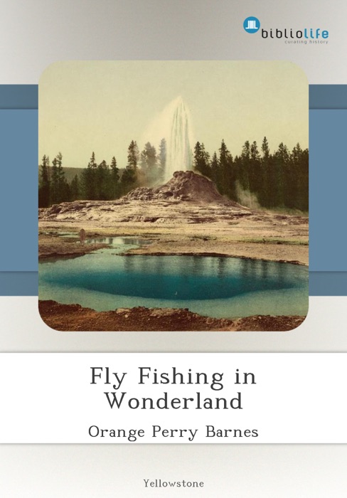 Fly Fishing in Wonderland