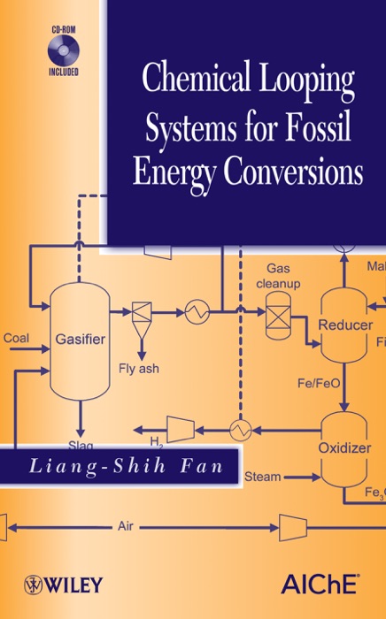 Chemical Looping Systems for Fossil Energy Conversions