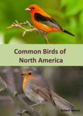 Common Birds of North America - An Illustrated Guide to 50 of the Most Common North American Birds - Robert Nelson