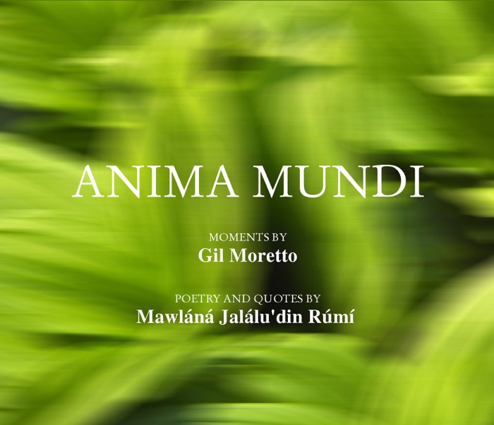 ANIMA MUNDI