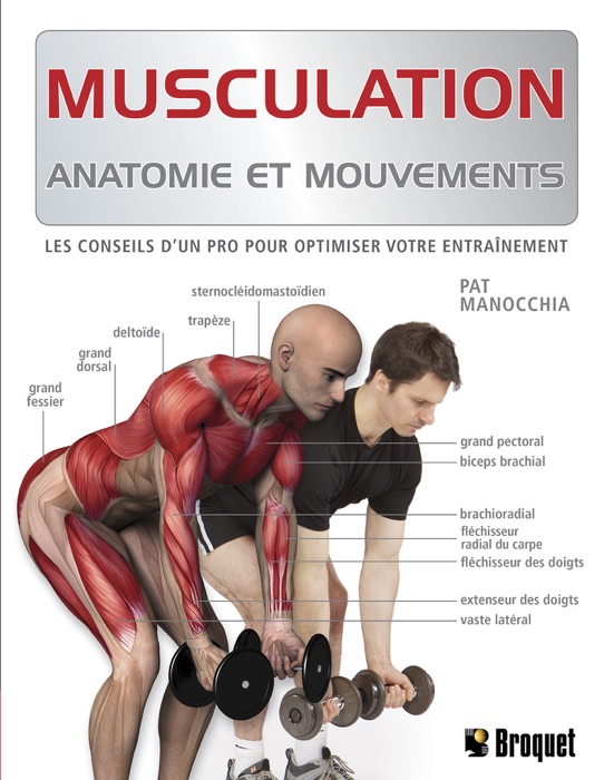 Musculation