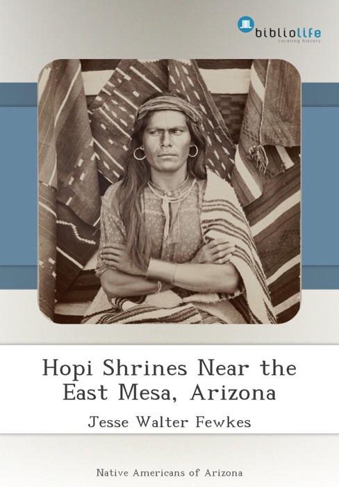 Hopi Shrines Near the East Mesa, Arizona