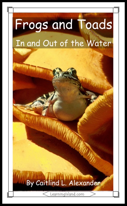 Frogs and Toads: In and Out of the Water