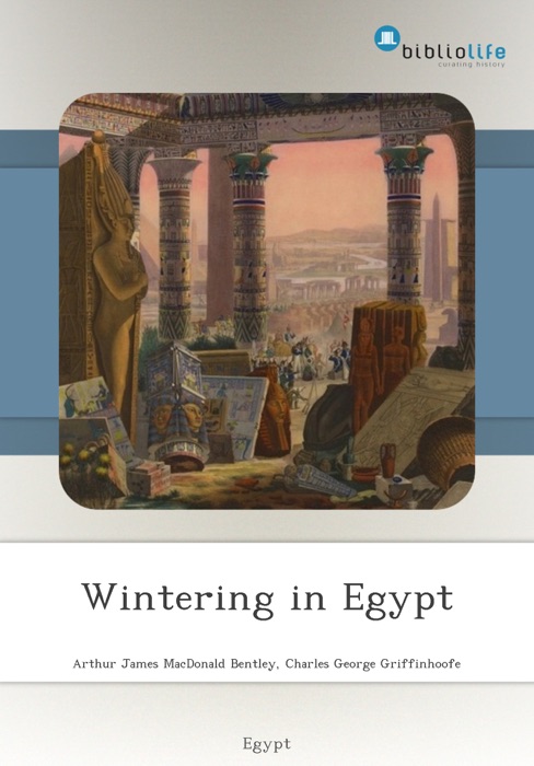 Wintering in Egypt