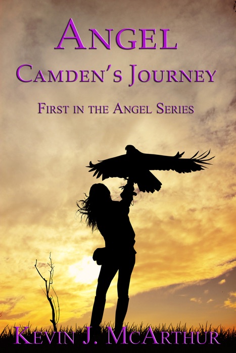 Angel: Camden's Journey