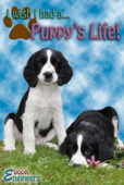 I Wish I Had a... Puppy's Life! - Brian D. Kuhn