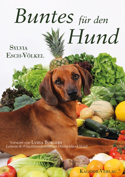 Buntes für den Hund