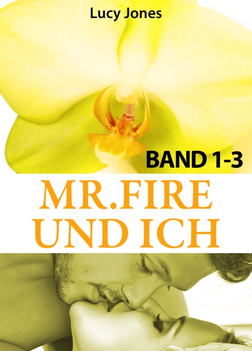 Mr. Fire und ich - Band 1-3