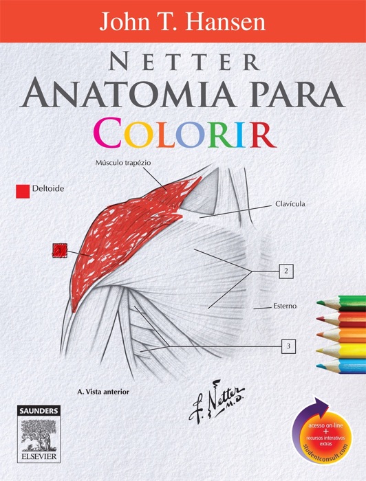 Netter anatomia para colorir