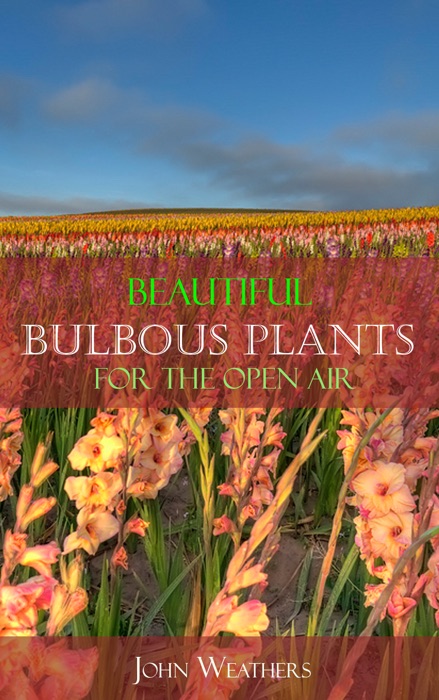 Beautiful Bulbous Plants for the Open Air