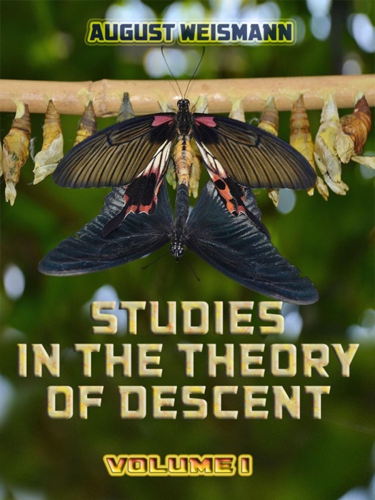 Studies in the Theory of Descent : Volume I (Illustrated)