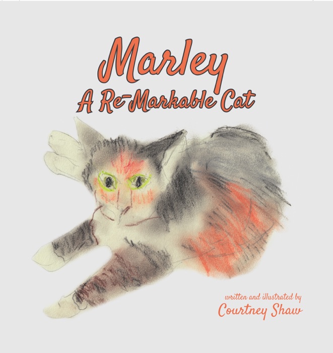 Marley - A Re-Markable Cat