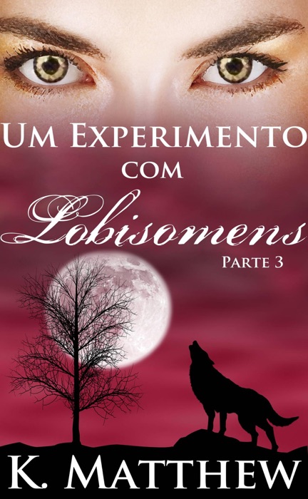 Um Experimento com Lobisomens: Parte 3