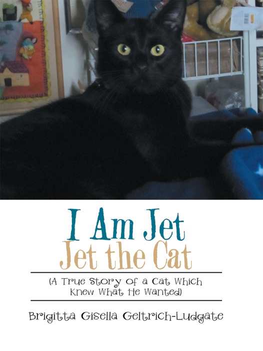 I Am Jet Jet the Cat