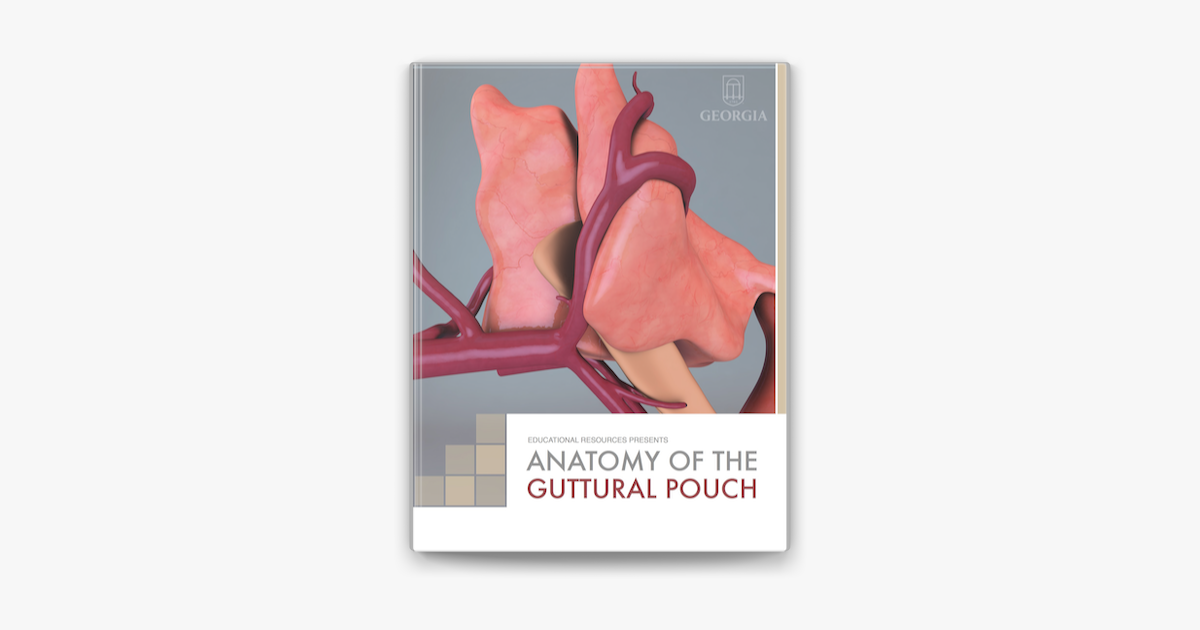 ‎Anatomy of the Guttural Pouch on Apple Books