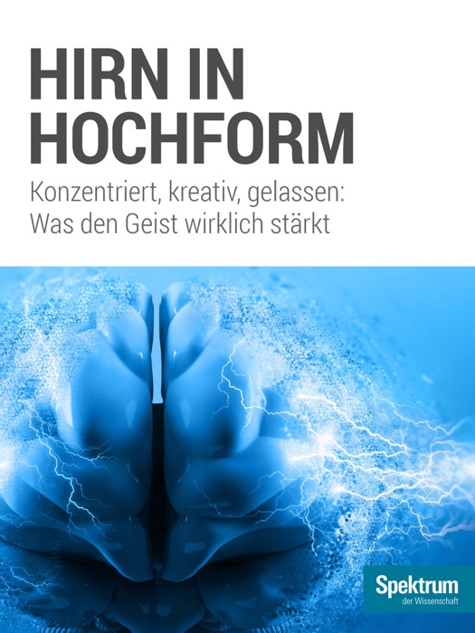 Hirn in Hochform