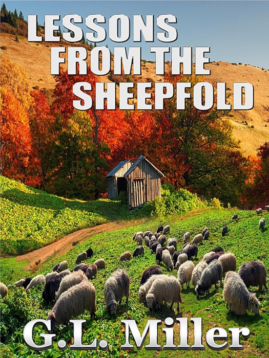 Lessons from the Sheepfold