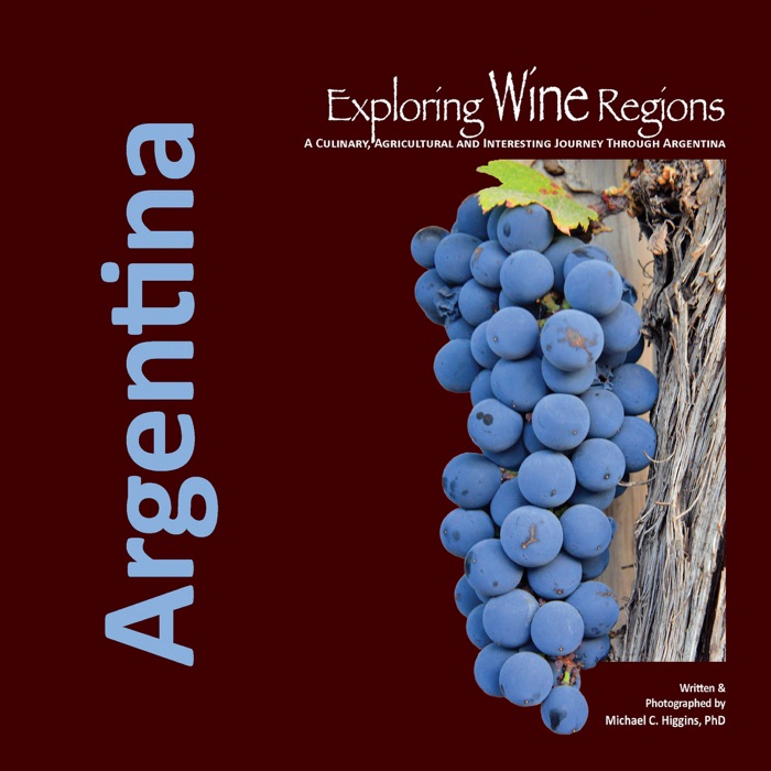 Exploring Wine Regions - Argentina