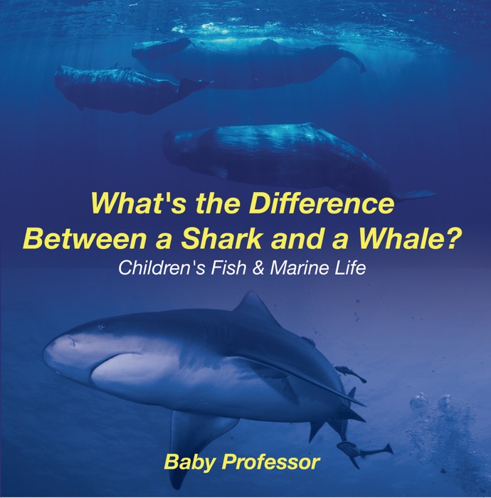 What's the Difference Between a Shark and a Whale?  Children's Fish & Marine Life