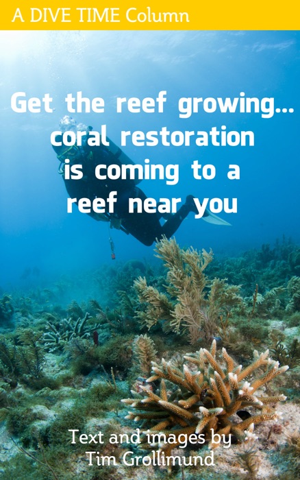 Get The Reef Growing... Coral Restoration Is Coming To A Reef Near You