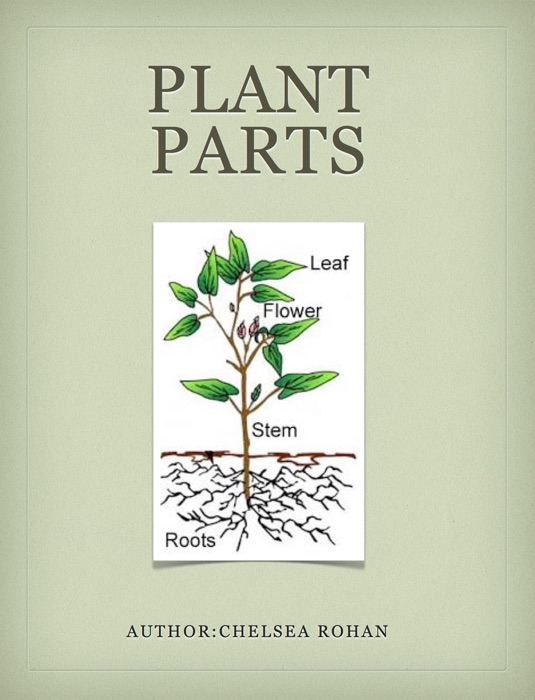 Plant Parts