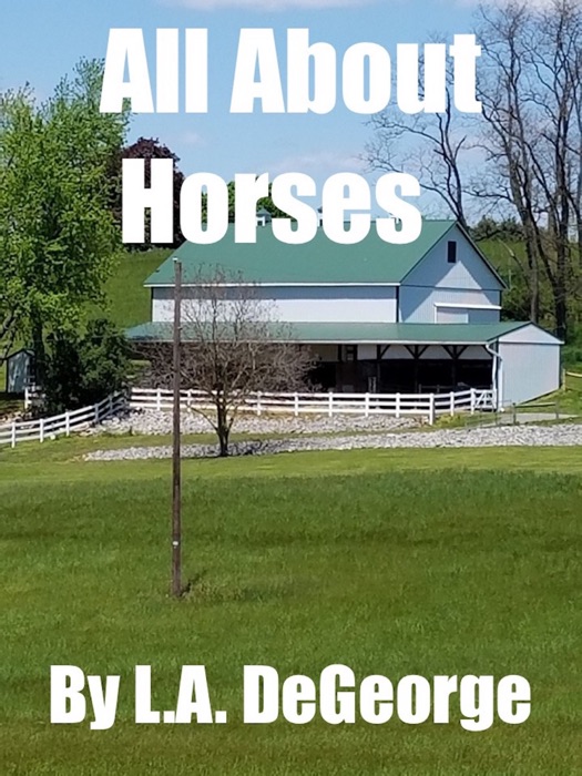 All About Horses