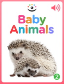 Baby Animals - Andrew Alex