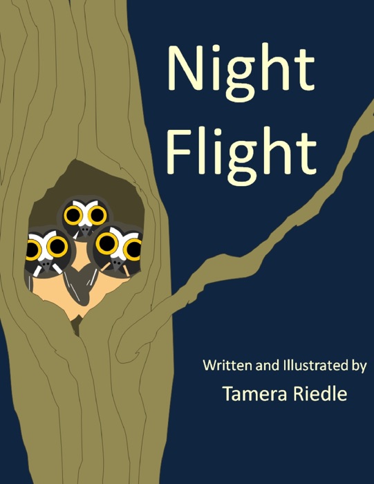 Night Flight