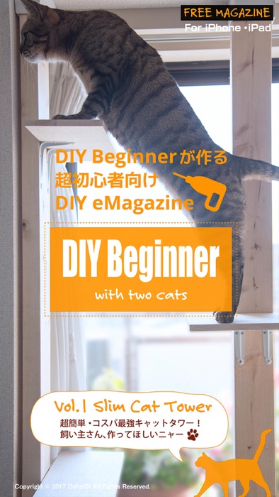 DIY Beginner with 2 cats