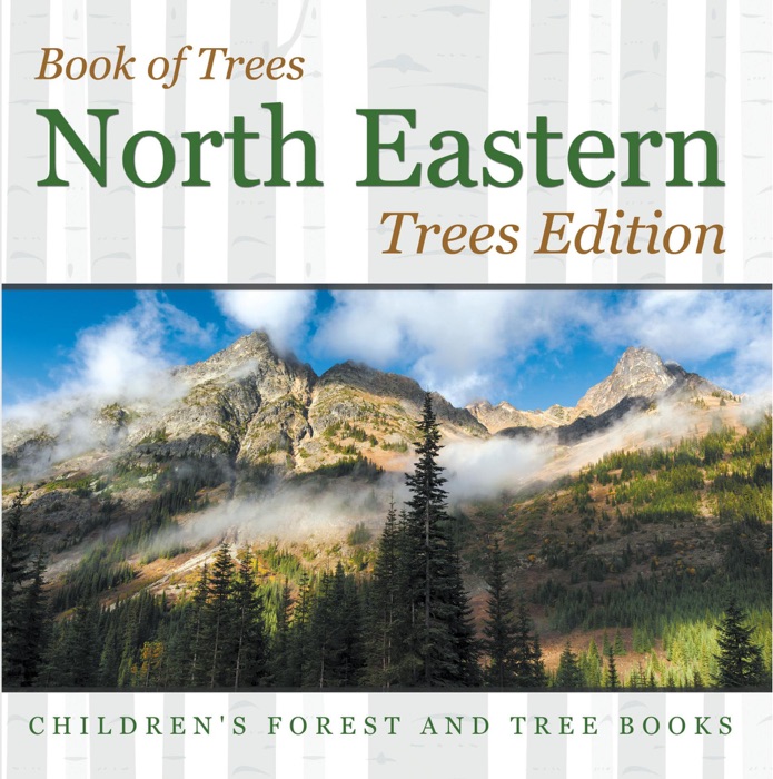 Book of Trees  North Eastern Trees Edition  Children's Forest and Tree Books