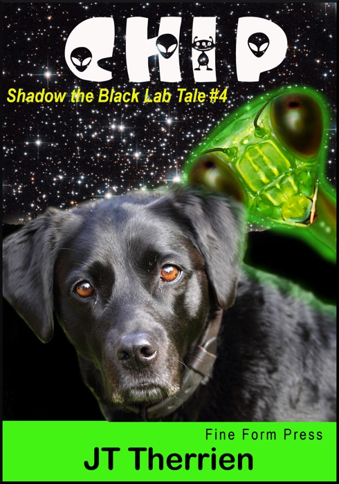 Chip: A Shadow the Black Lab Tale #4