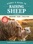 Storey's Guide to Raising Sheep, 5th Edition