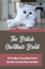 The British Shorthair Breed: All You Want To Know About British Shorthair Cats And Kittens And More - Quinn Dubard