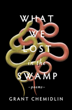 What We Lost in the Swamp - Grant Chemidlin Cover Art