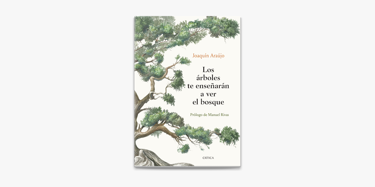 Los árboles te enseñarán a ver el bosque en Apple Books