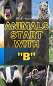 Animals Alphabet B - Pham Cong Phu