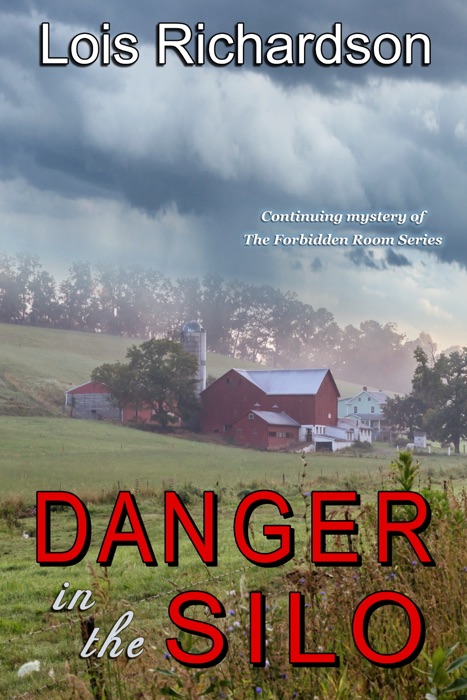 Danger in the Silo: Continuing Mystery of The Forbidden Room Series