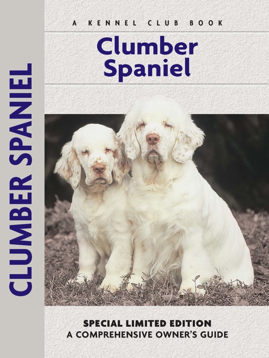 Clumber Spaniel