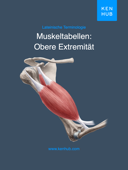 Obere Extremität: Muskeltabellen - Kenhub