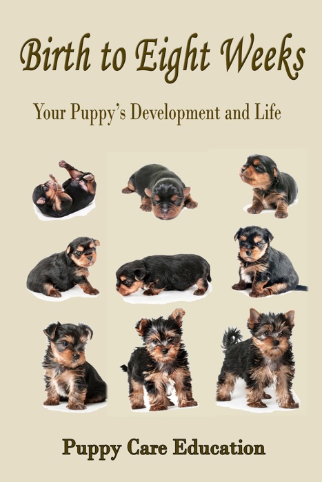 Birth to Eight Weeks: Your Puppy's Development and Life