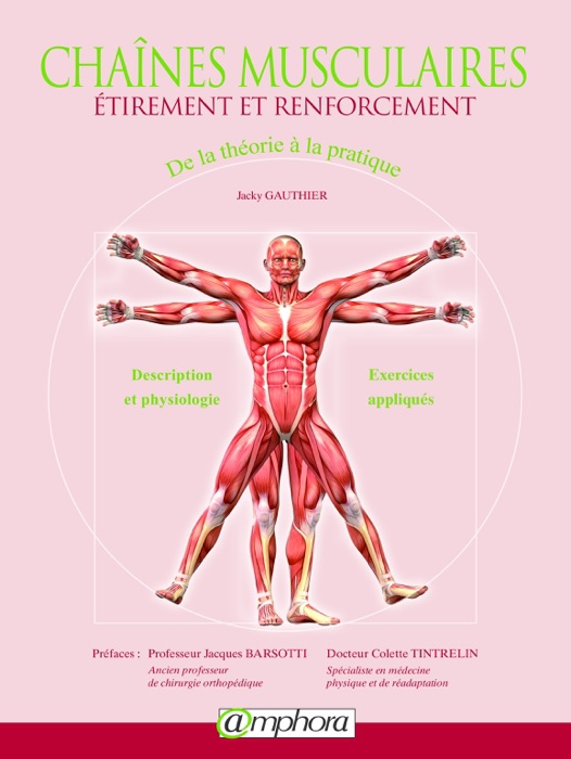 Chaînes musculaires